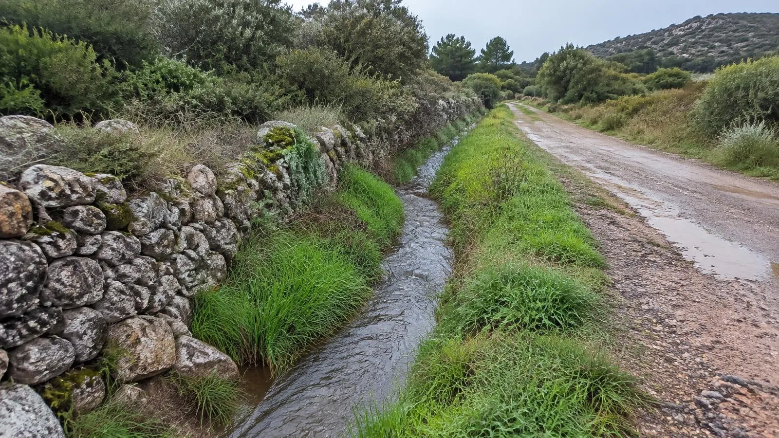 Fossé d'écoulement des eaux le long d'un chemin
