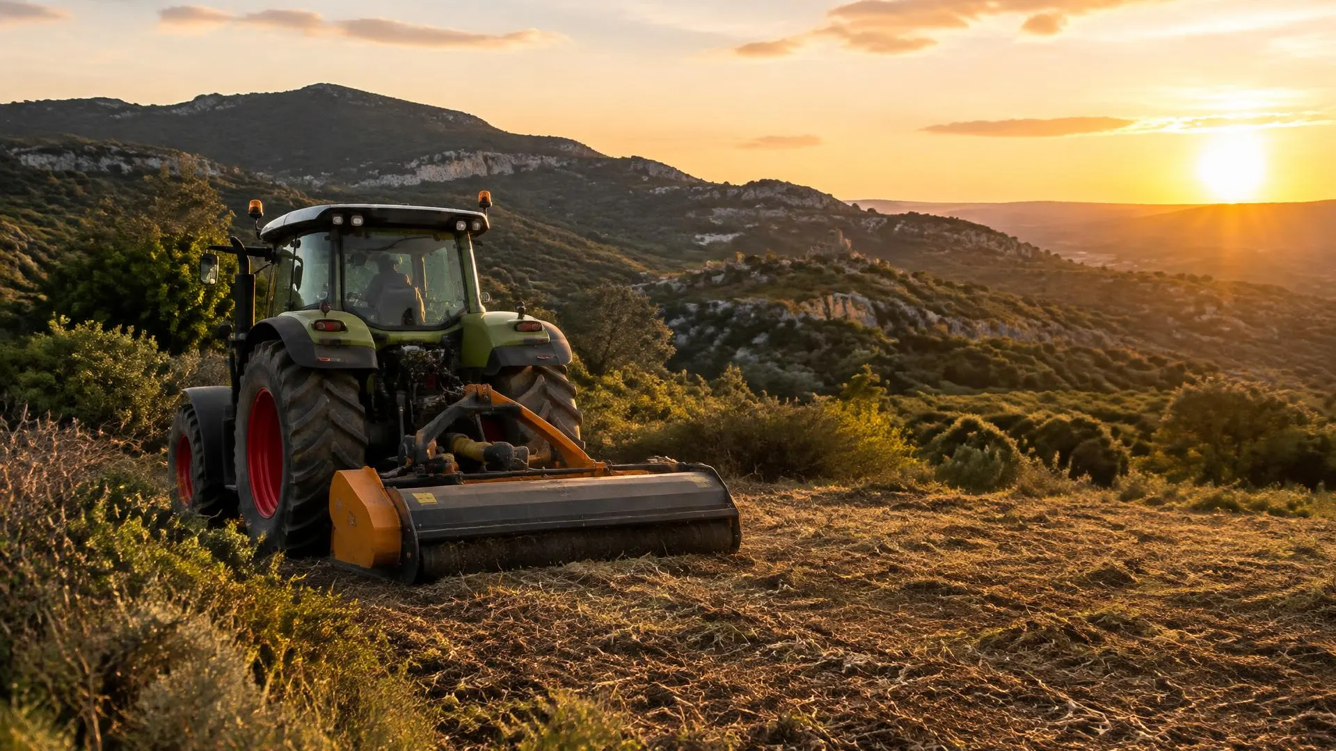 Parcelle agricole débroussaillée dans le Gard